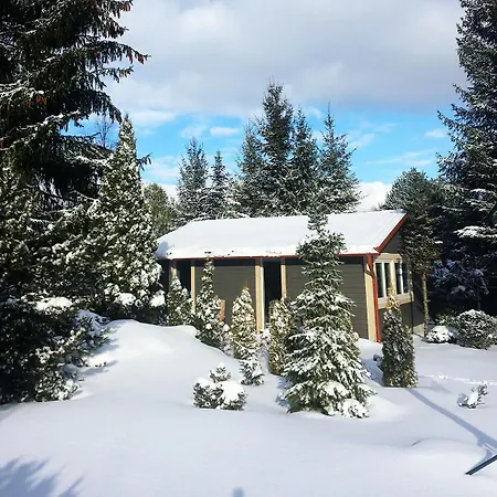 Lesne Chatki Kaszuby Hébergement de vacances Dziemiany
